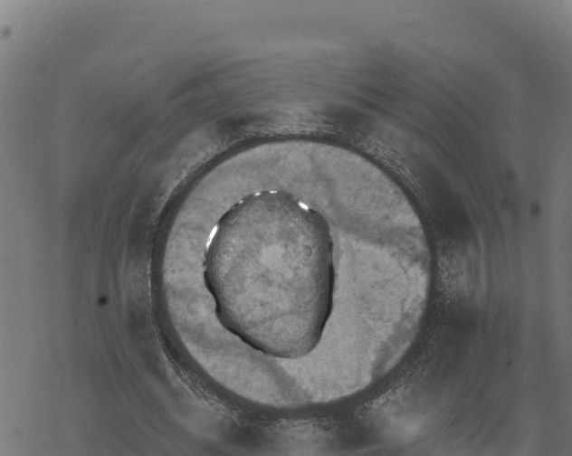 X0000068820534200605121318