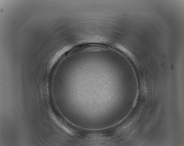 X0000068820535200605121318