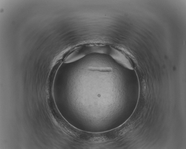 X0000068820536200605121318