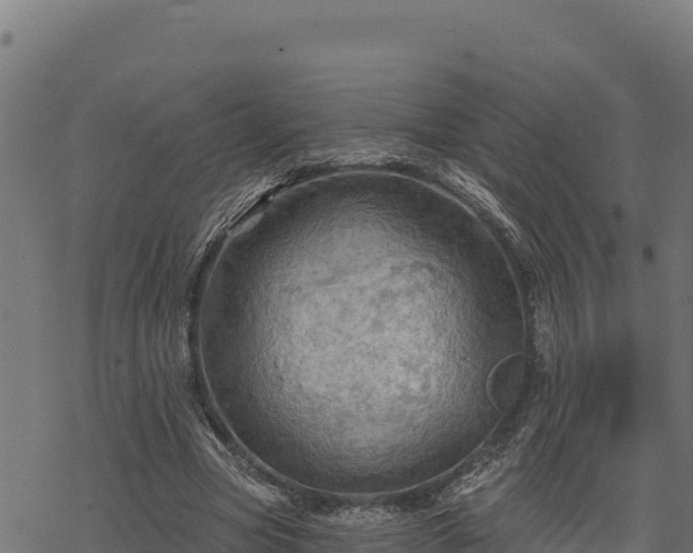 X0000068820537200605121318