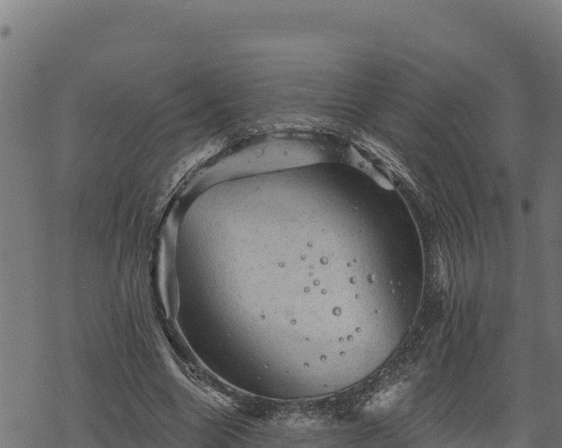 X0000068820538200605121318