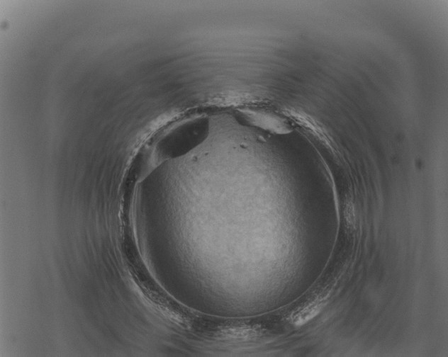 X0000068820540200605121318