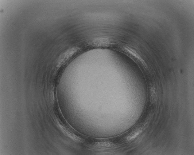 X0000068820541200605121318