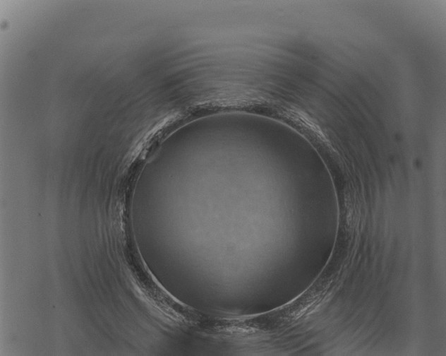 X0000068820542200605121318