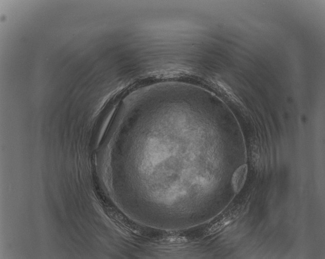 X0000068820543200605121318