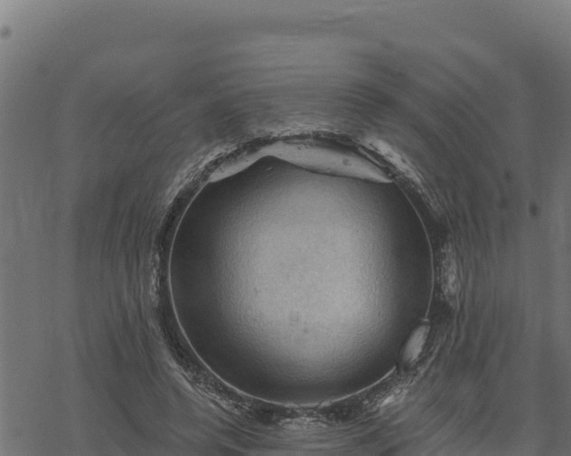 X0000068820544200605121318