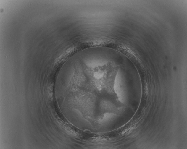 X0000068820545200605121318