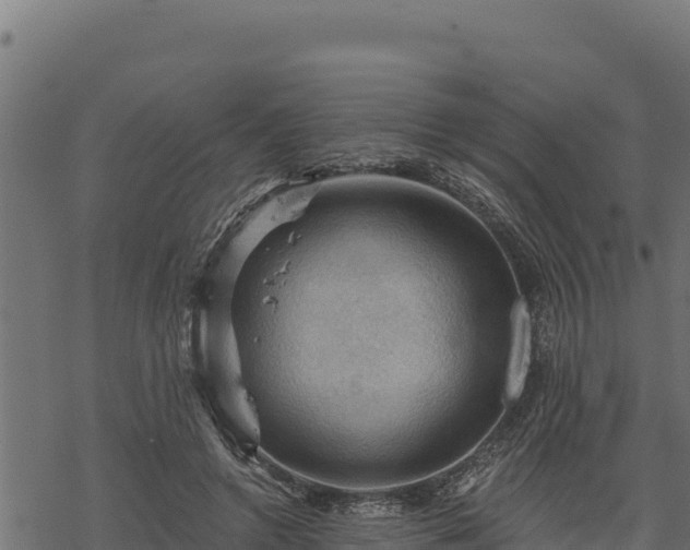 X0000068820546200605121318