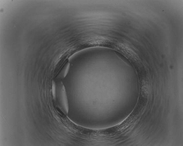 X0000068820547200605121318