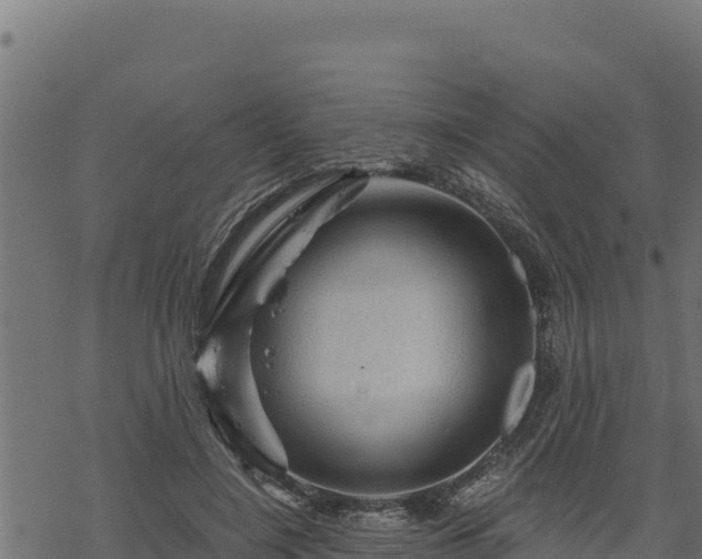 X0000068820548200605121318