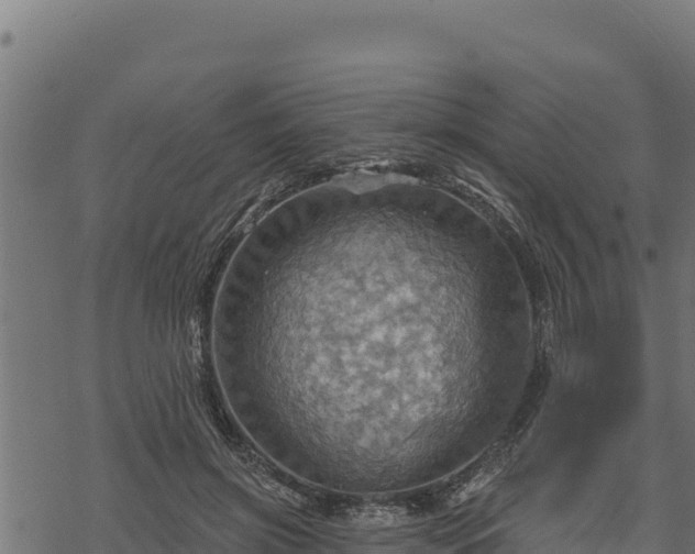 X0000068820549200605121318