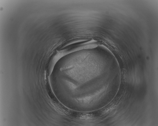 X0000068820550200605121318