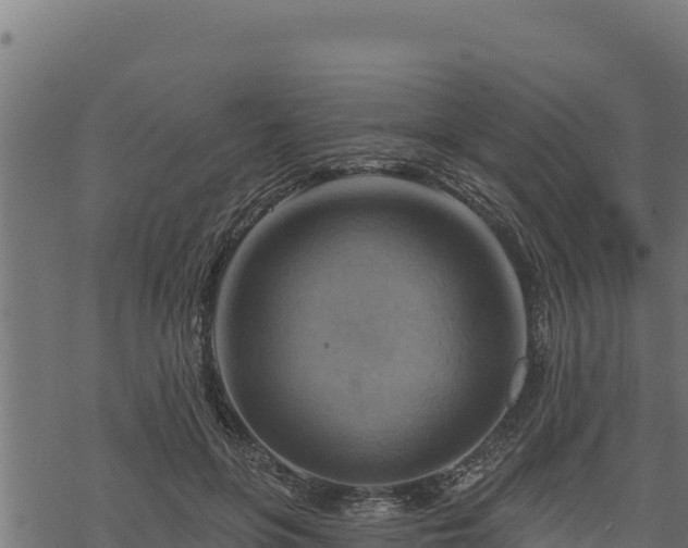 X0000068820551200605121318