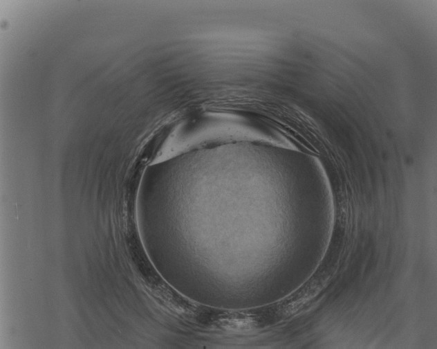 X0000068820552200605121318