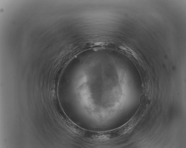 X0000068820553200605121318