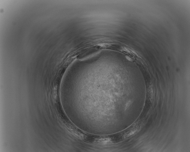 X0000068820554200605121318