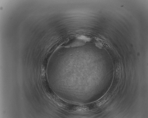 X0000068820555200605121318