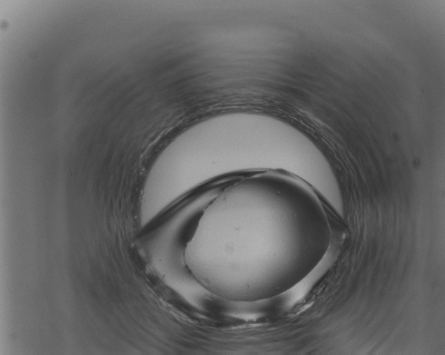 X0000068820556200605121318