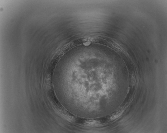 X0000068820557200605121318