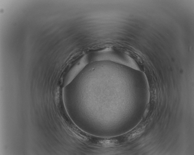 X0000068820558200605121318