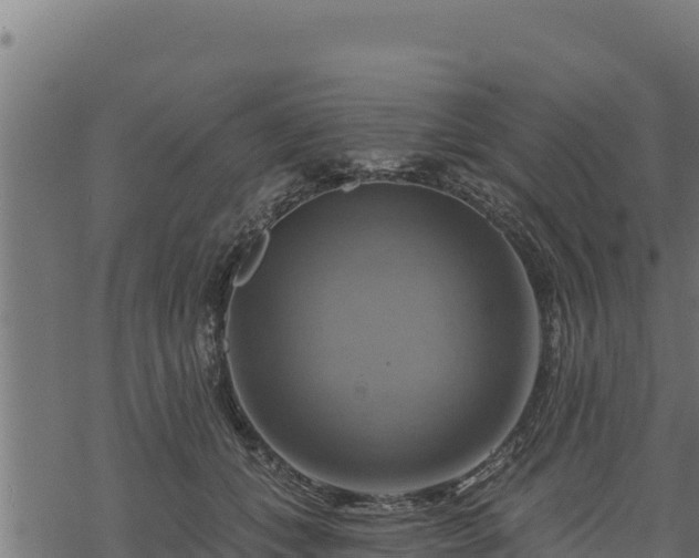 X0000068820559200605121318