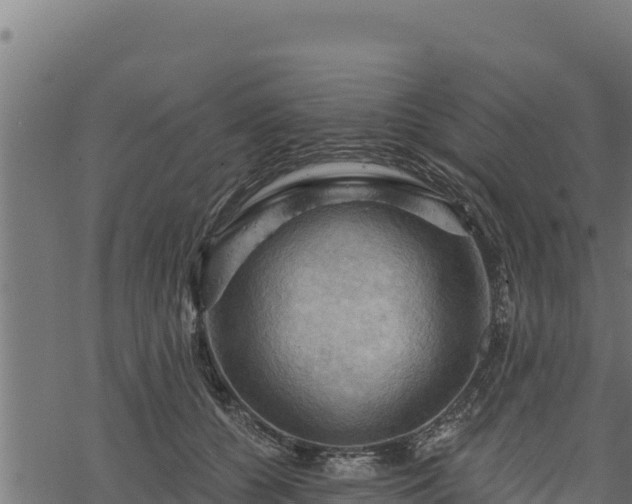 X0000068820560200605121318