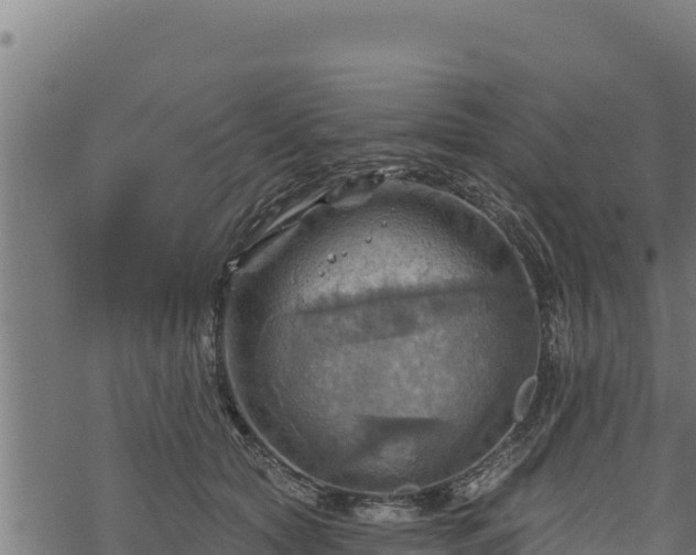 X0000068820561200605121319