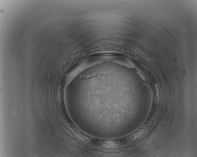 X0000068820562200605121319