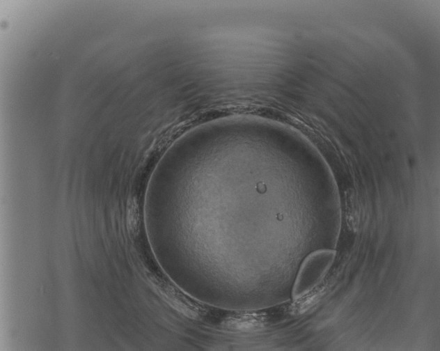 X0000068820563200605121319