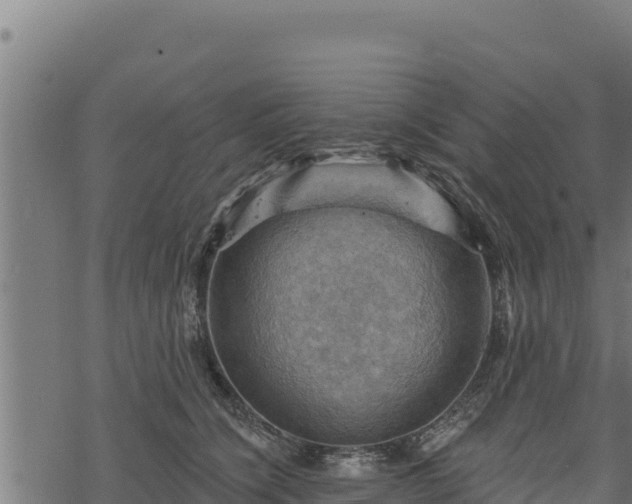 X0000068820564200605121319