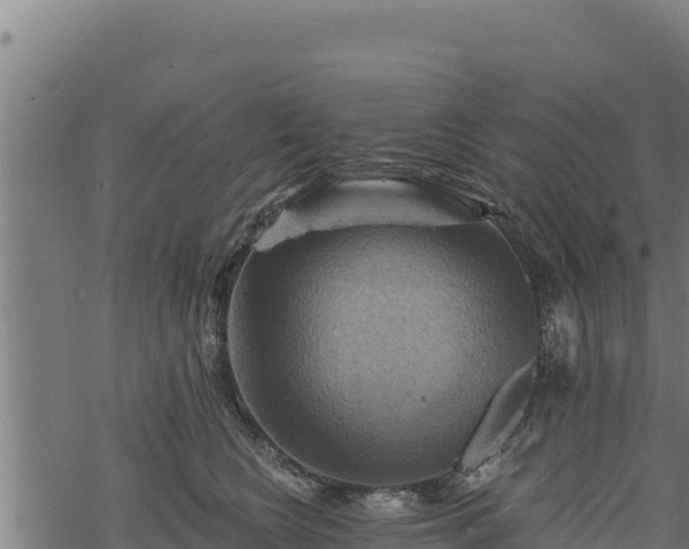 X0000068820566200605121319