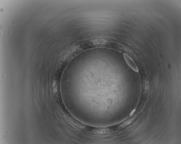 X0000068820567200605121319