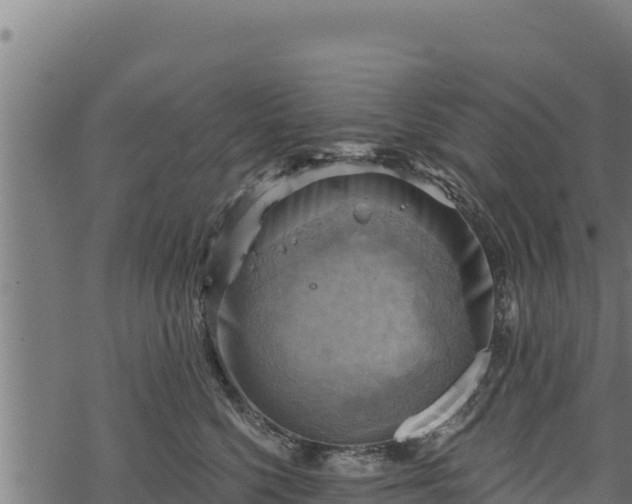 X0000068820568200605121319