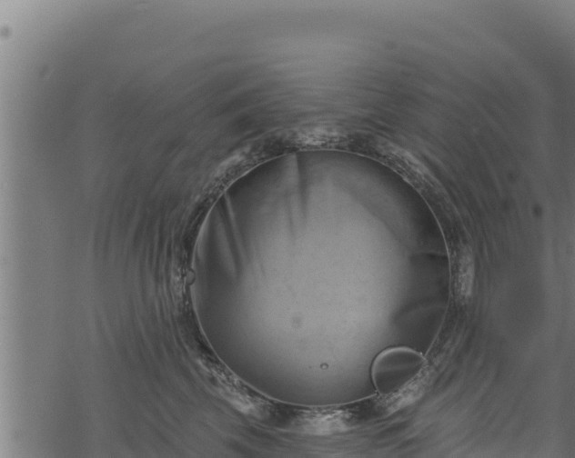 X0000068820569200605121319