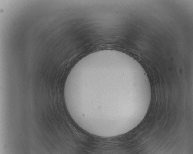 X0000068820570200605121319