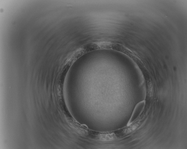 X0000068820571200605121319