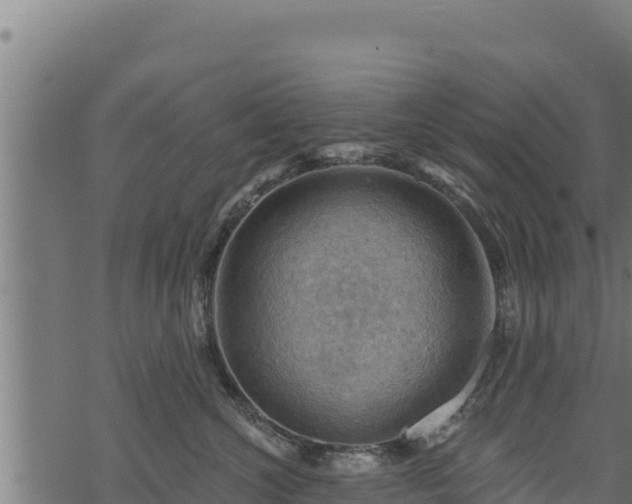 X0000068820572200605121319