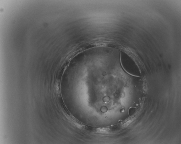 X0000068820573200605121319