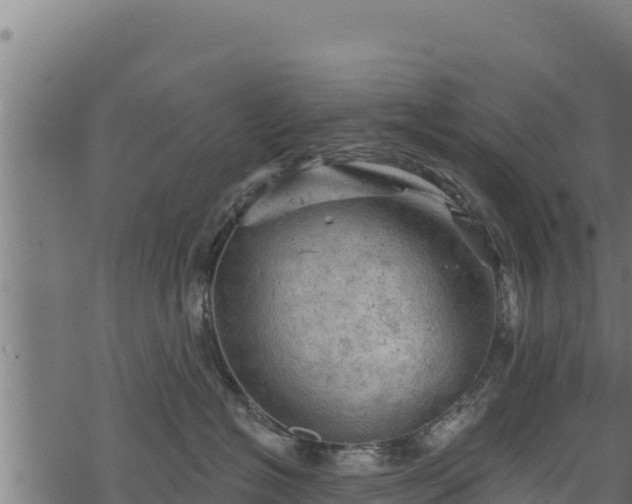 X0000068820574200605121319