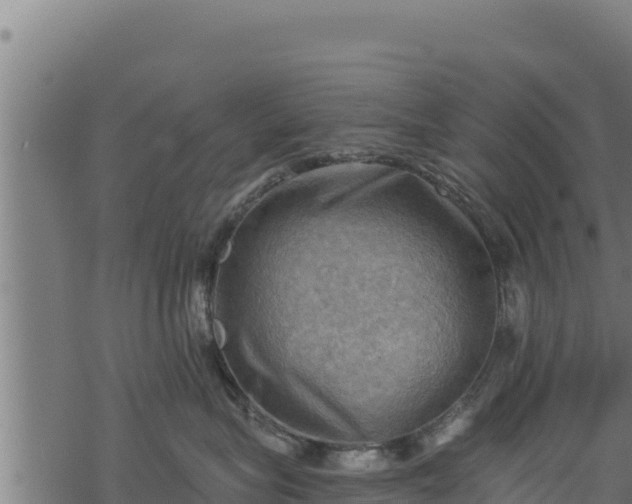 X0000068820575200605121319