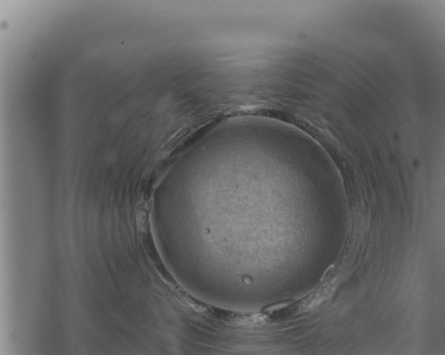 X0000068820576200605121319