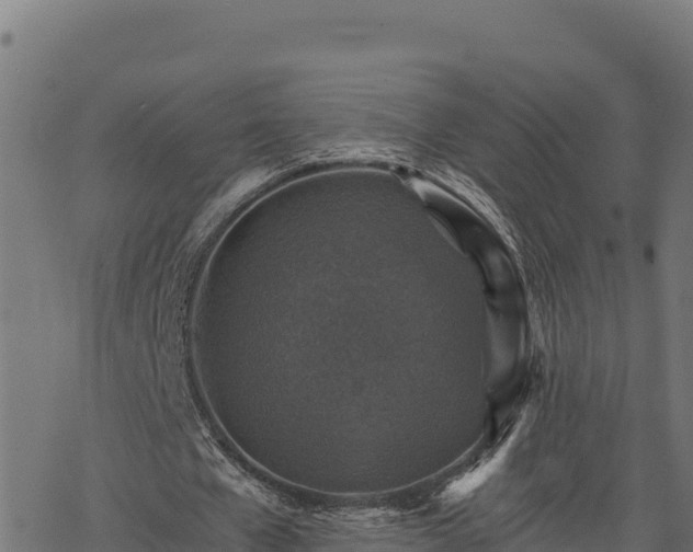 X0000068820577200605121318