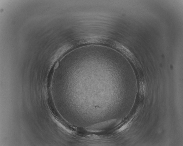 X0000068820578200605121318