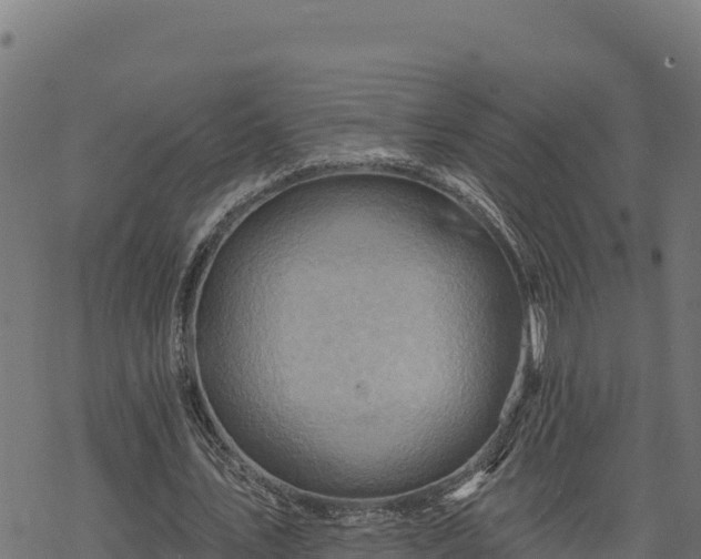 X0000068820579200605121318