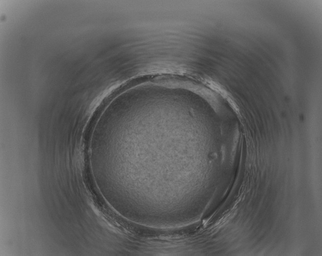 X0000068820580200605121318