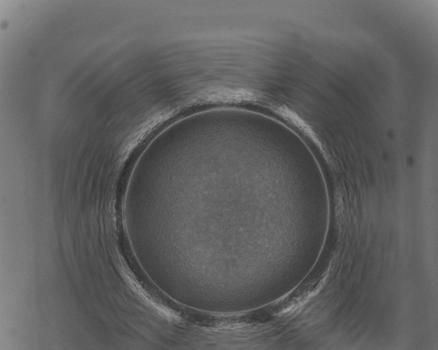 X0000068820581200605121318