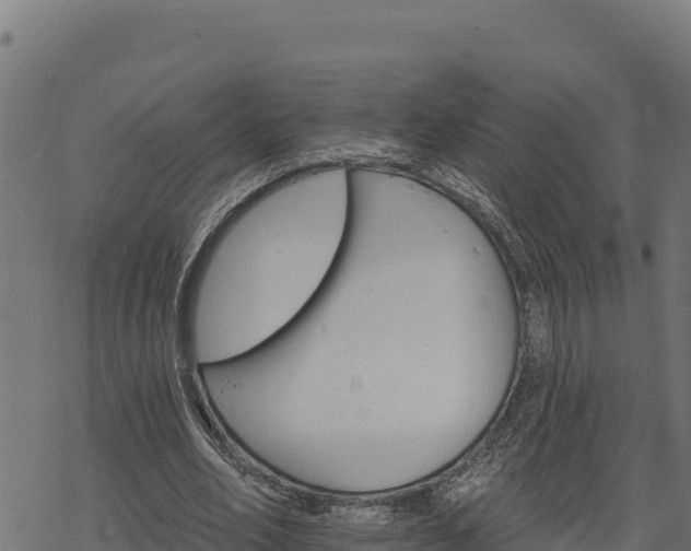 X0000068820582200605121318