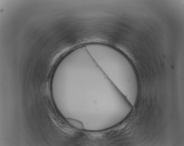 X0000068820583200605121318