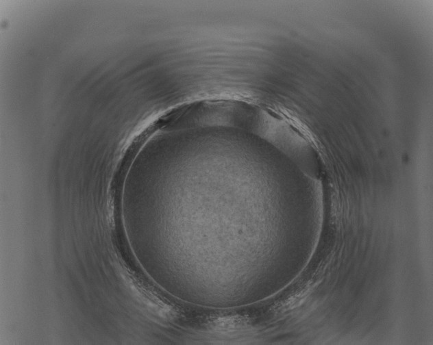 X0000068820584200605121318