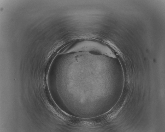 X0000068820585200605121318